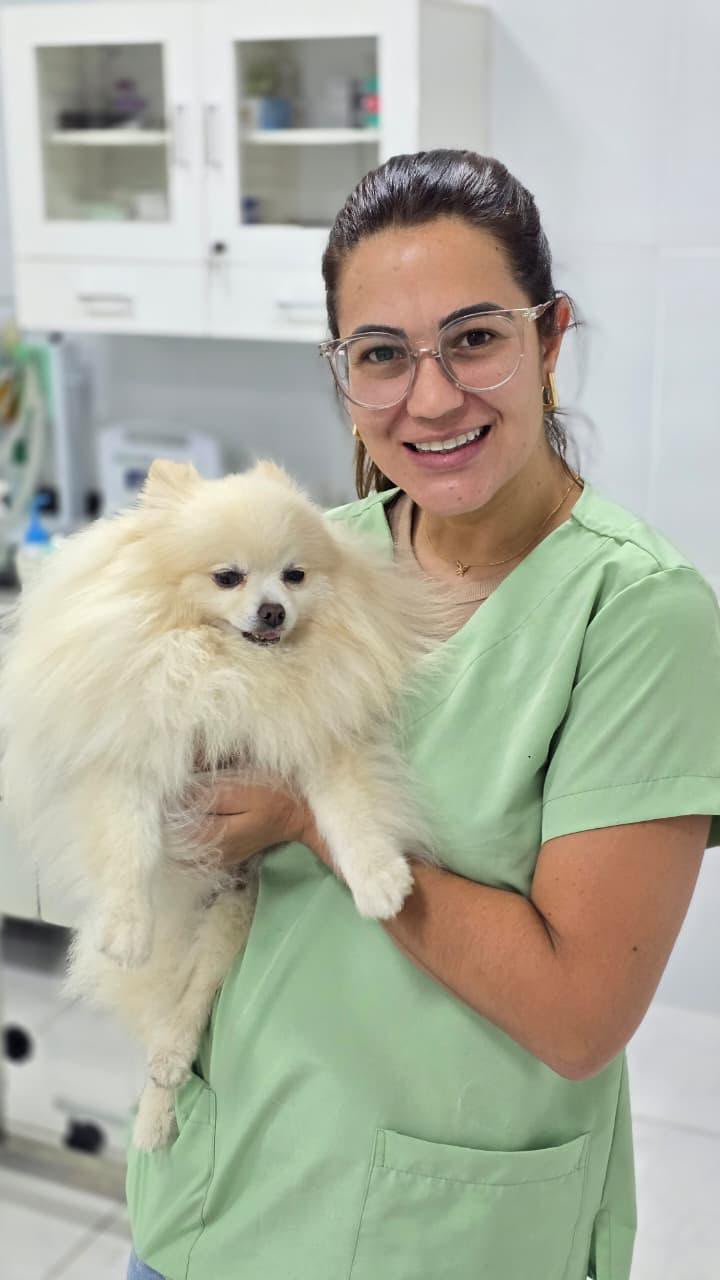 Equipe cirúrgica veterinária na MioPet Taubaté