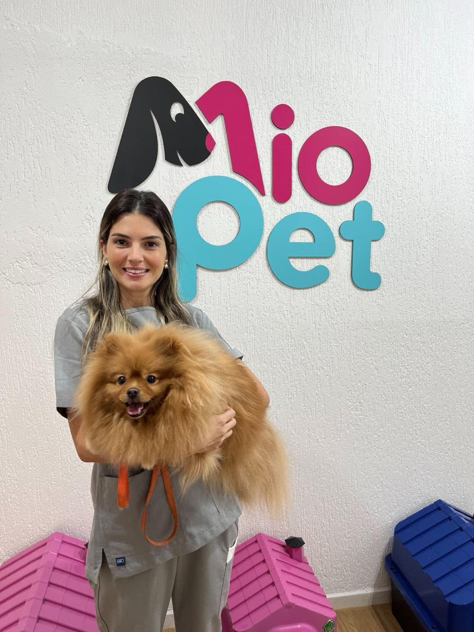 Yorkshire em consulta veterinária na MioPet Taubaté